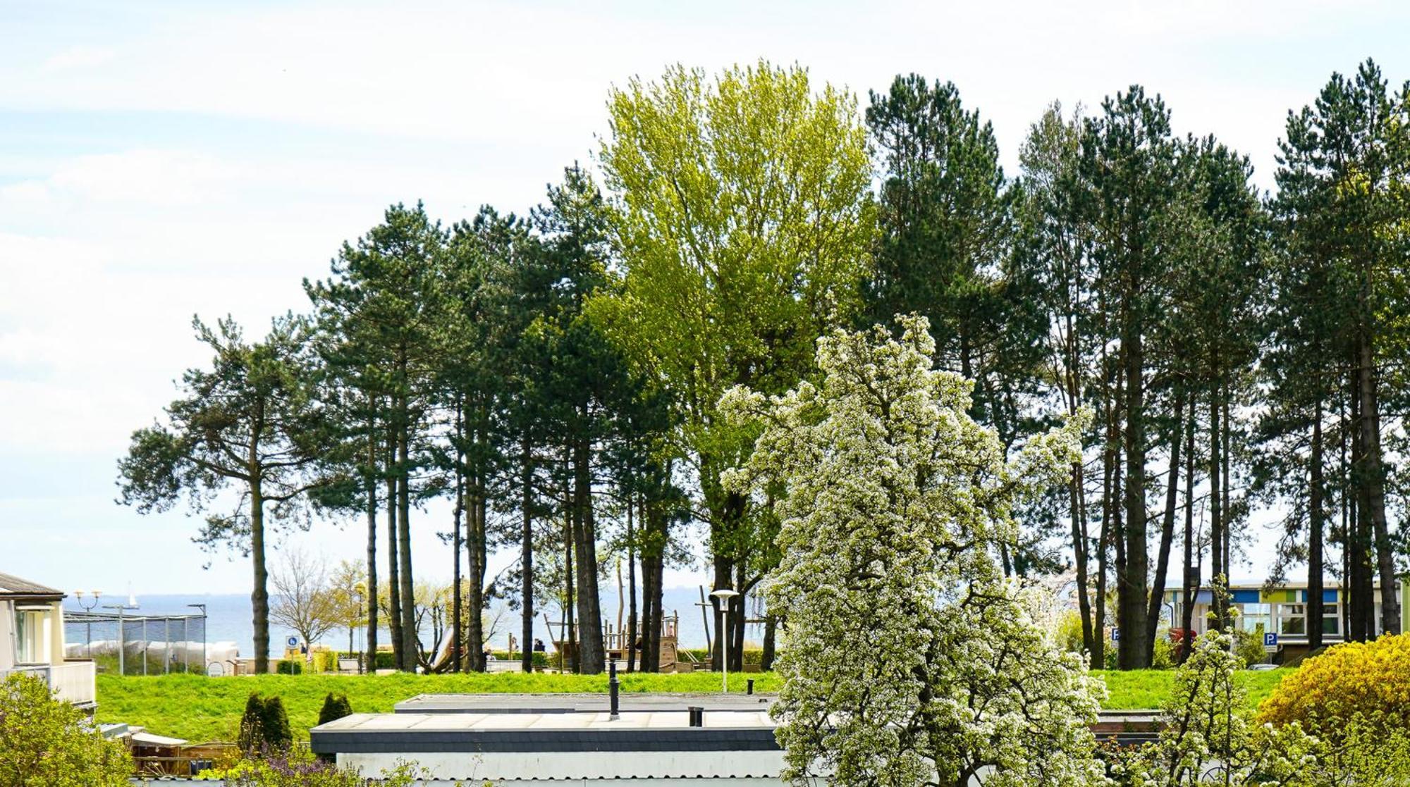Haus Meeresbrise - Whg 6 Греміц Екстер'єр фото
